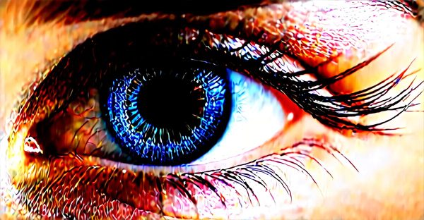 Rallonge fibre optique : simplifiez votre connexion à domicile