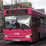 Bus Envibus rose